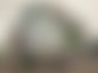 LA TORMENTA PERFECTA. Parte 2 La Ley General de Economía Circular: obligaciones para empresas en un Estado con poca capacidad de implementación.