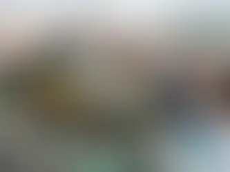 La transformación dentro de la cadena de recuperación de materiales. Trazabilidad, componentes tecnológicos y nuevos retos para el entorno industrial y comercial en México.