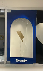 vinyl on window.png