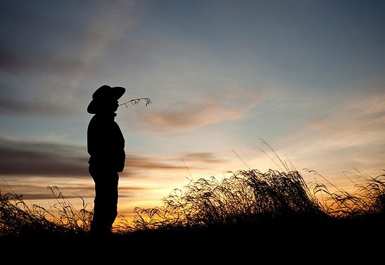 Man's Silhouette