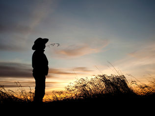 SACADA DO DIA - A HORA É AGORA