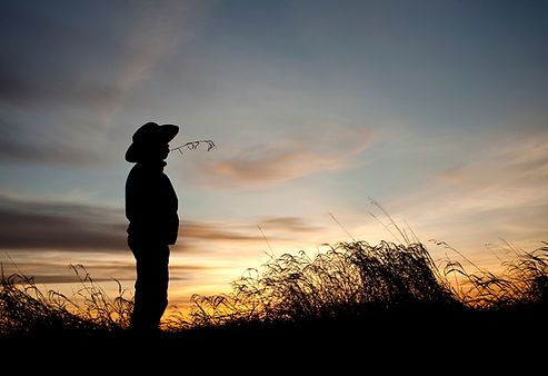 Silhouette At Sunset