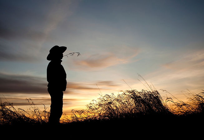 Man's Silhouette
