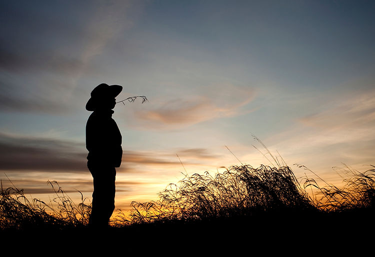 Man's Silhouette