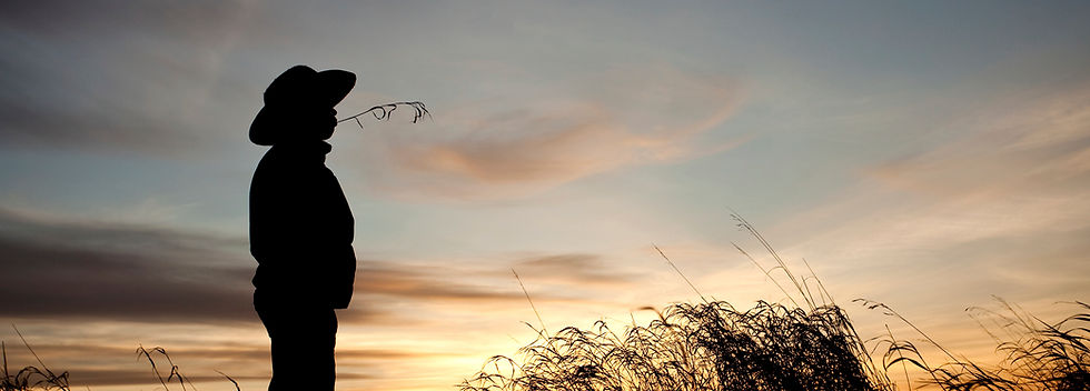 Man's Silhouette
