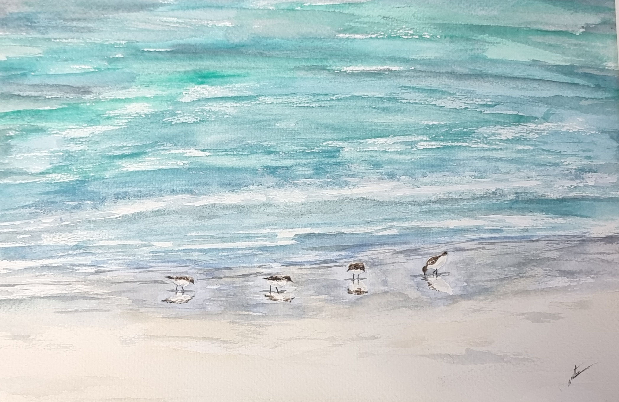 Large Original watercolour of sanderlings 
