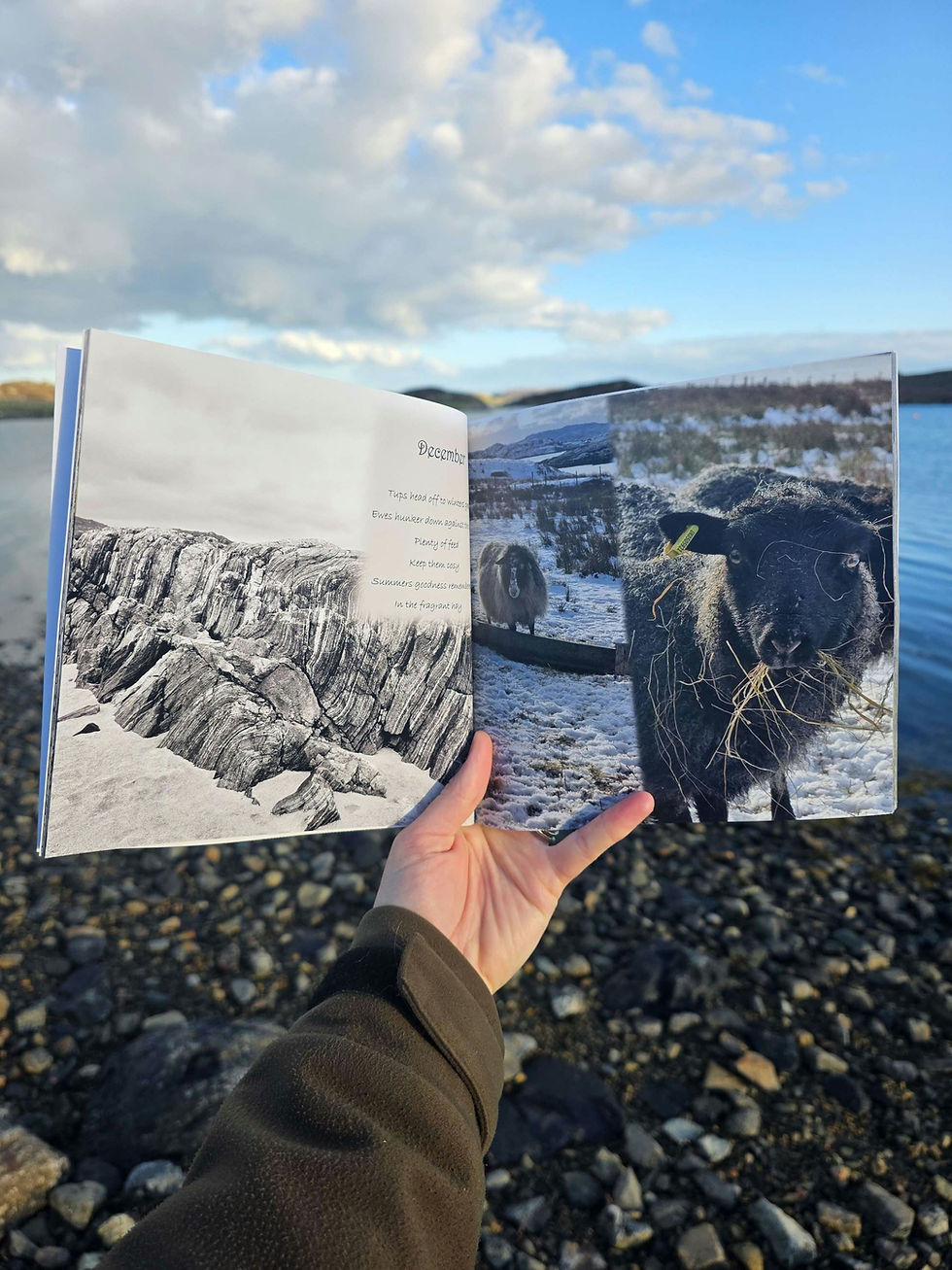Thumbnail: A Crofter's Year