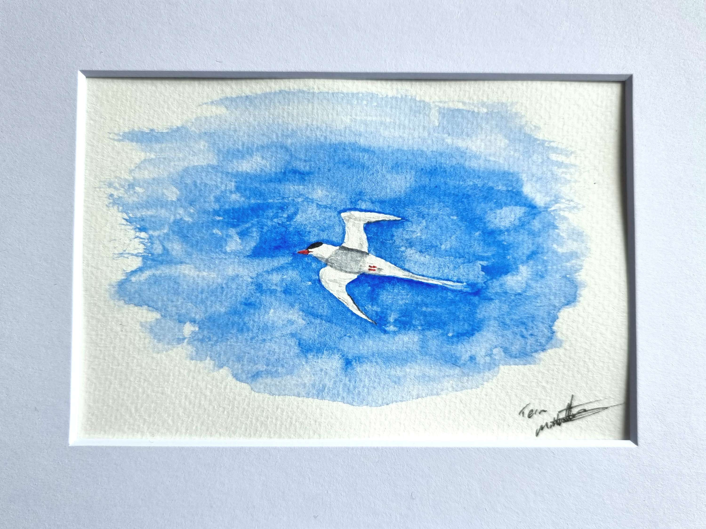 Mini Original Watercolour of a tern