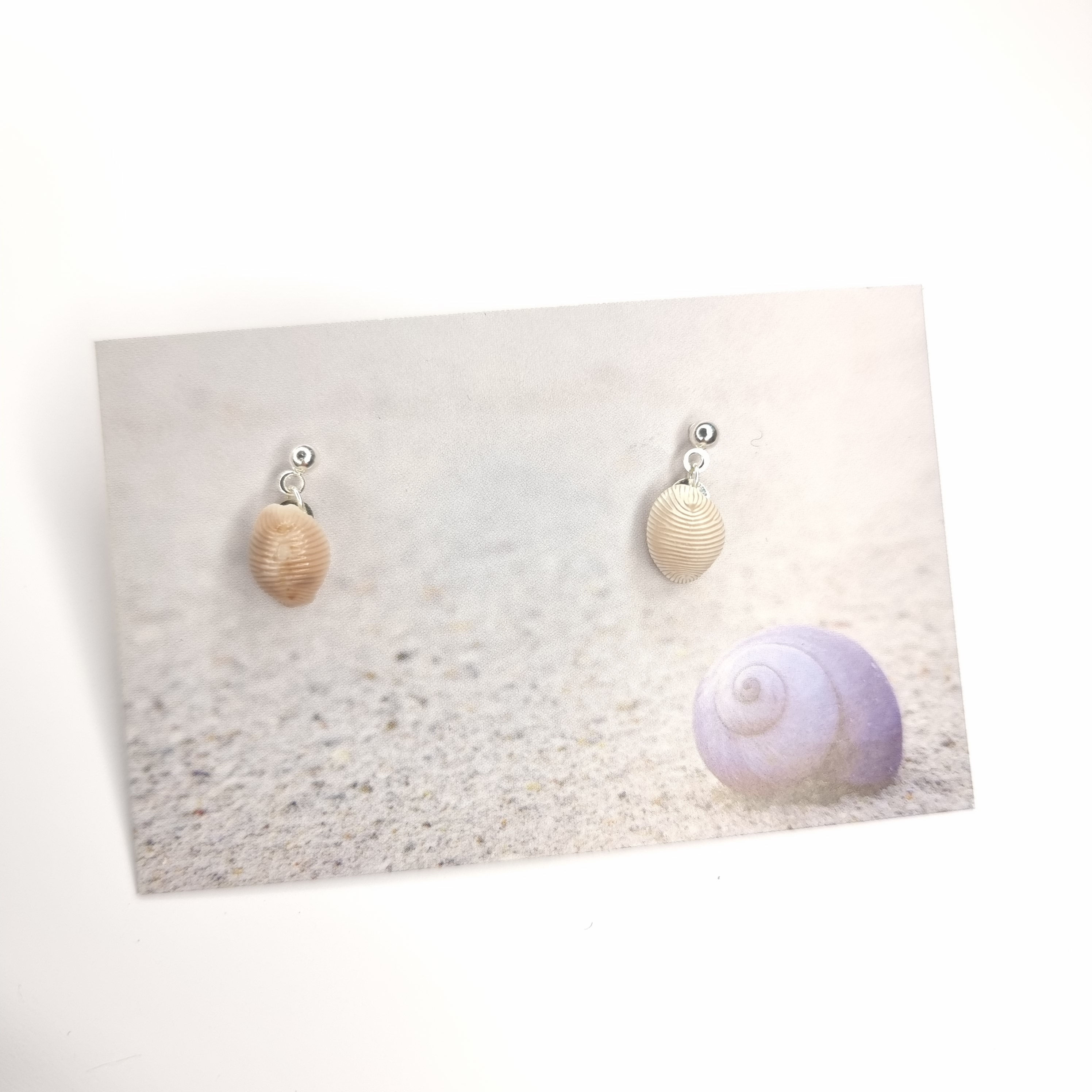Shell Stud Earrings - Berneray