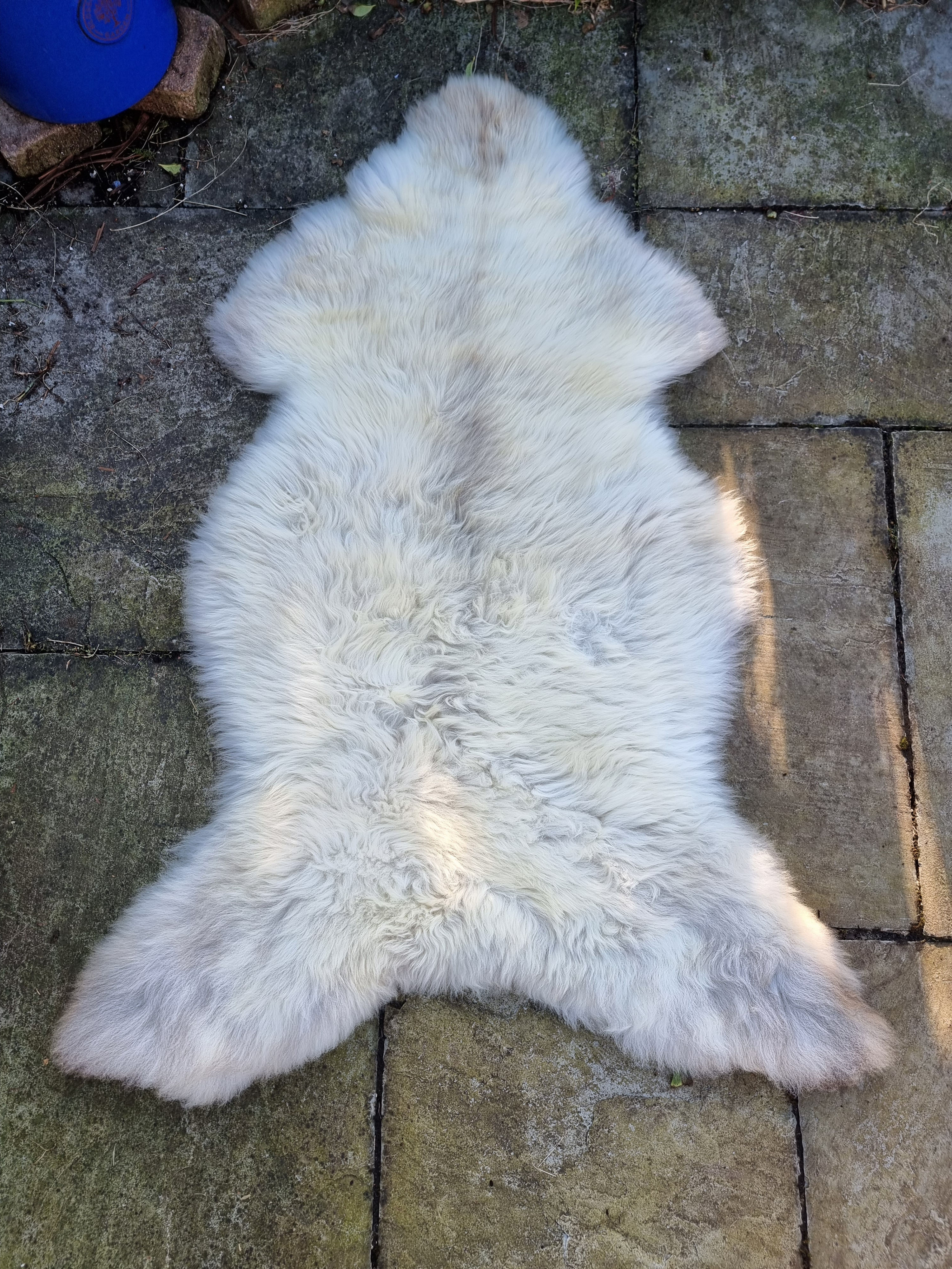 Sheepskin