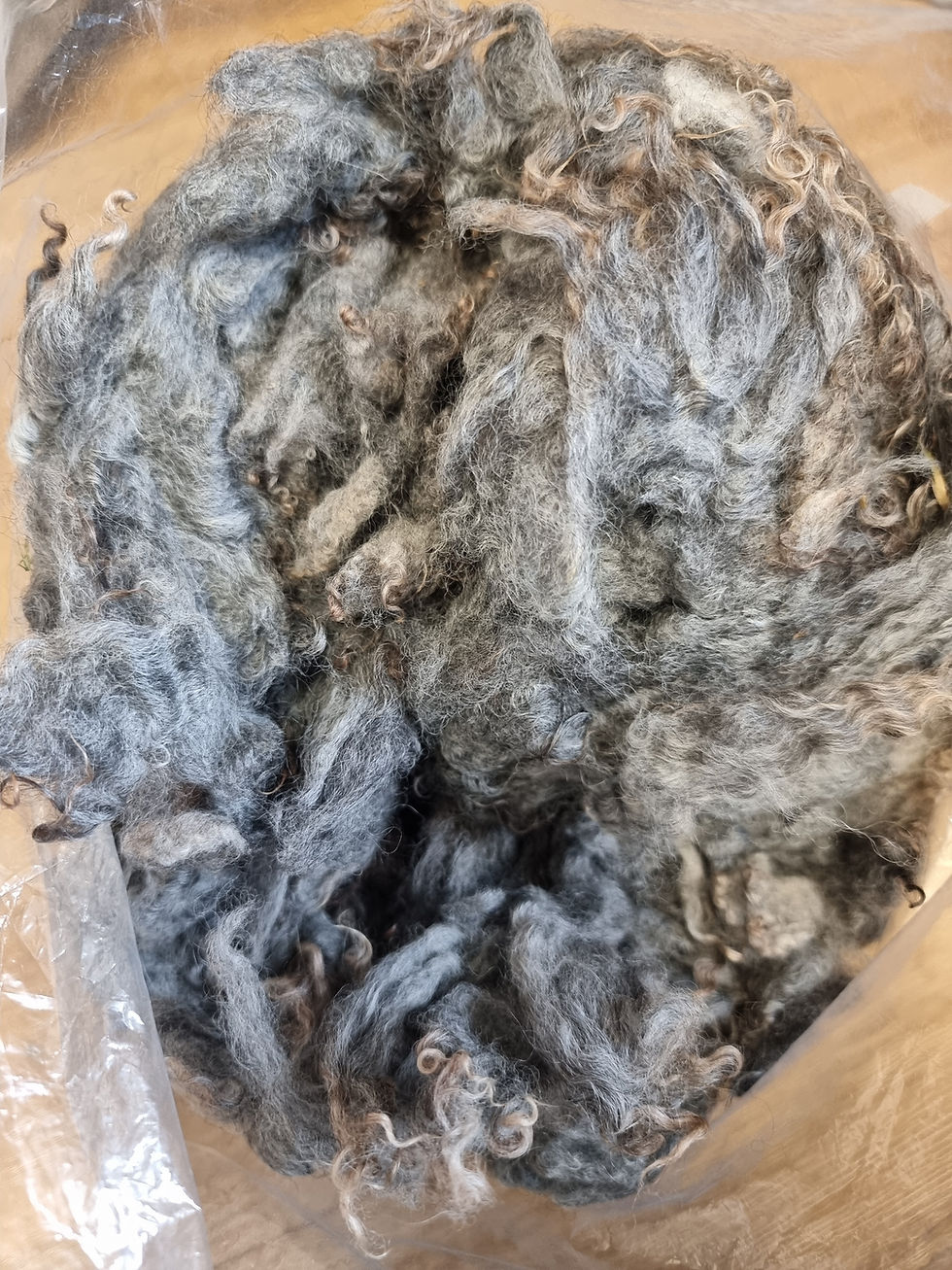 Miniatură: Gotland lambswool 350g