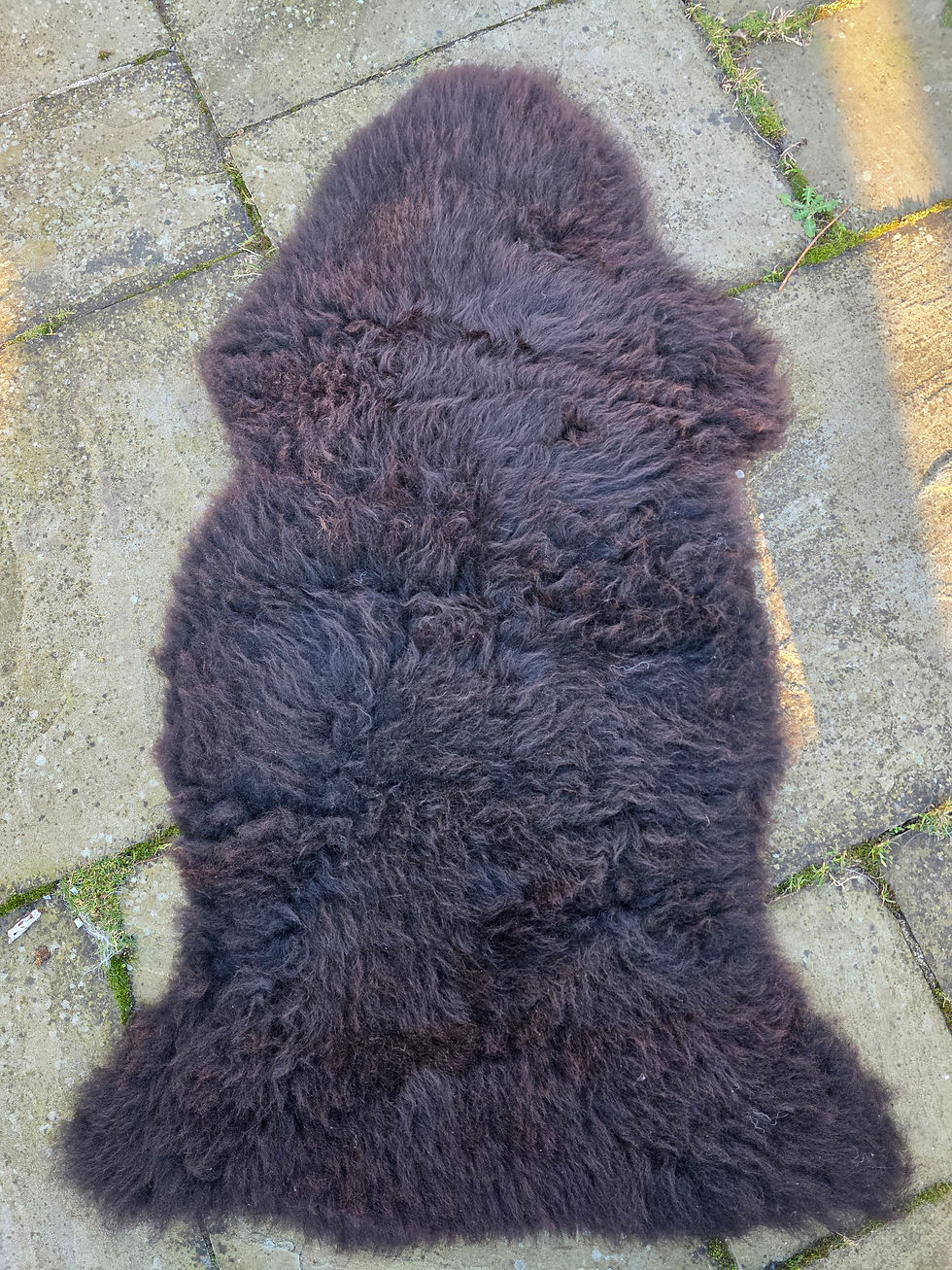 Thumbnail: Mule Sheepskin