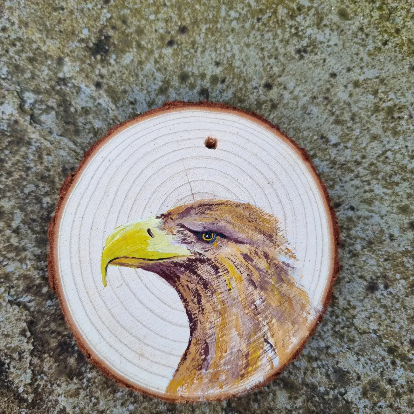 Sea eagle on wood slice