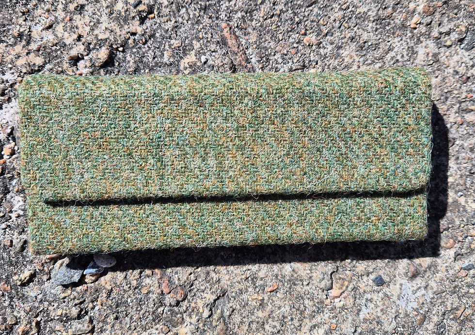 Glasses case
