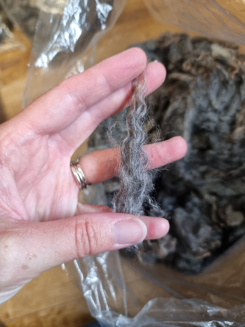 Miniatură: Gotland lambswool 350g