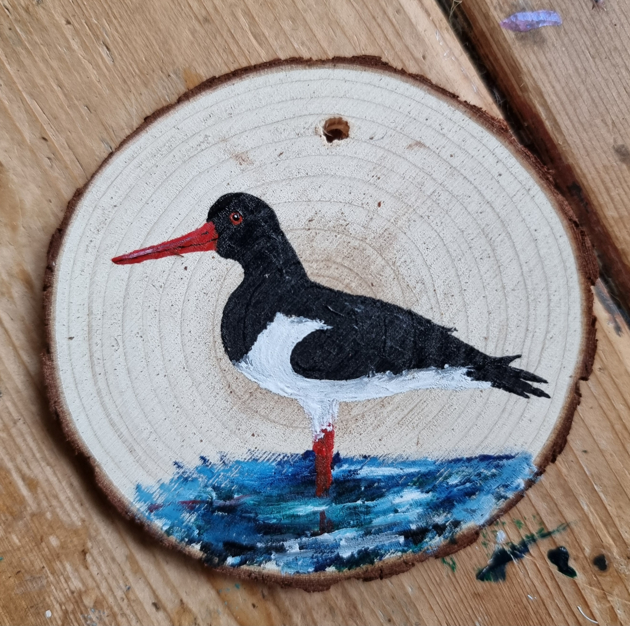 Oyster catcher on wood slice