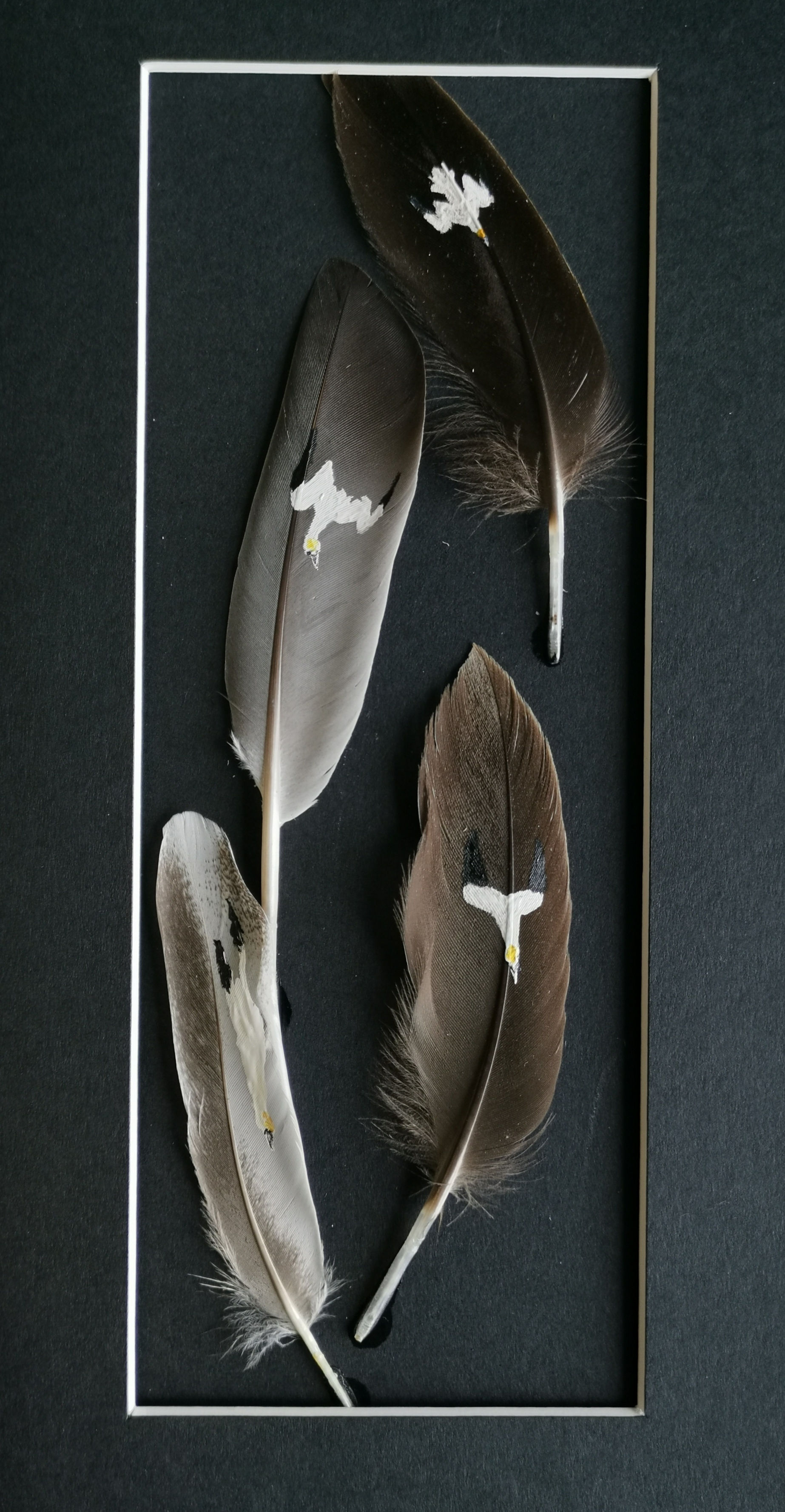 Gannets painted on duck and chicken feathers