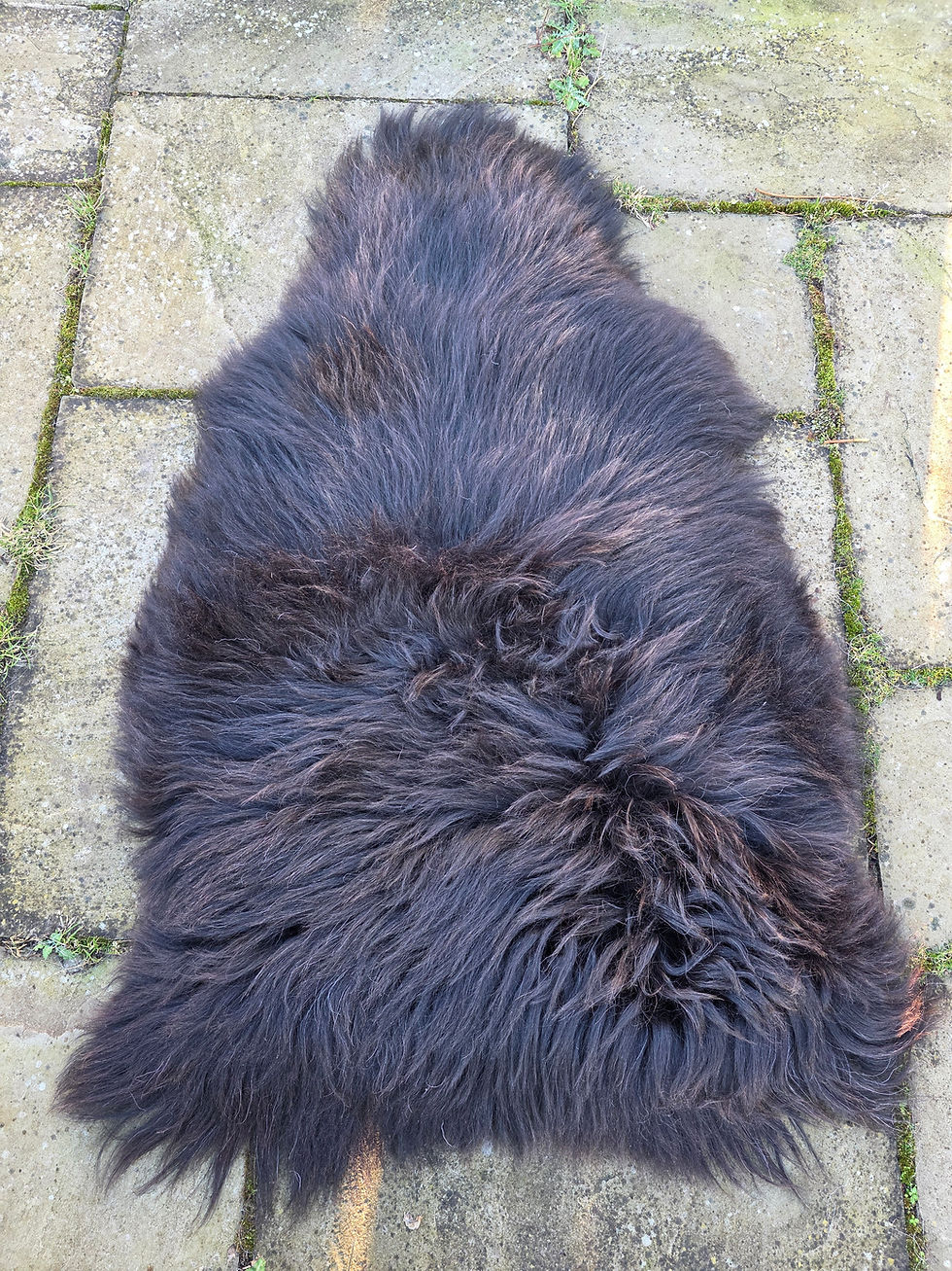 Thumbnail: Icelandic Sheepskin