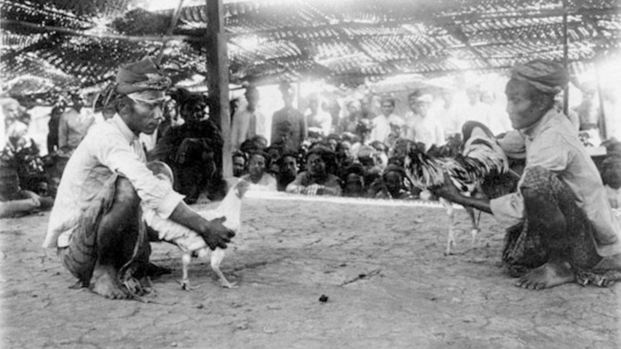Cockfighting in Bali, 1920, photographed by Thilly Weissenborn. (Wereldmuseum Amsterdam).
