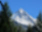 Nature_017.jpg