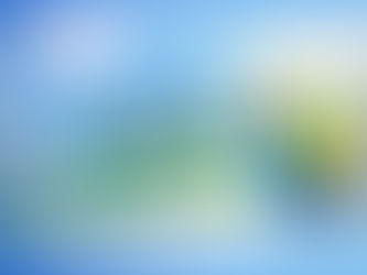 Why Clean 941 LLC is the Top Choice for Professional Cleaning Services