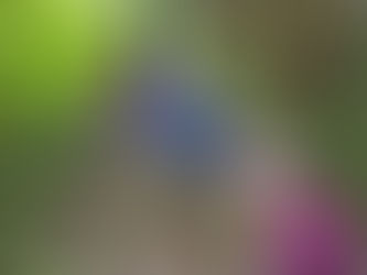 やればできるよ