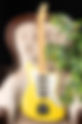 Fender Fessler Masterbuilt 1962 Jazzmaster NOS, R96908