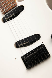 Fernandes STJ-80BT, Signature Models have no Serial Numbers