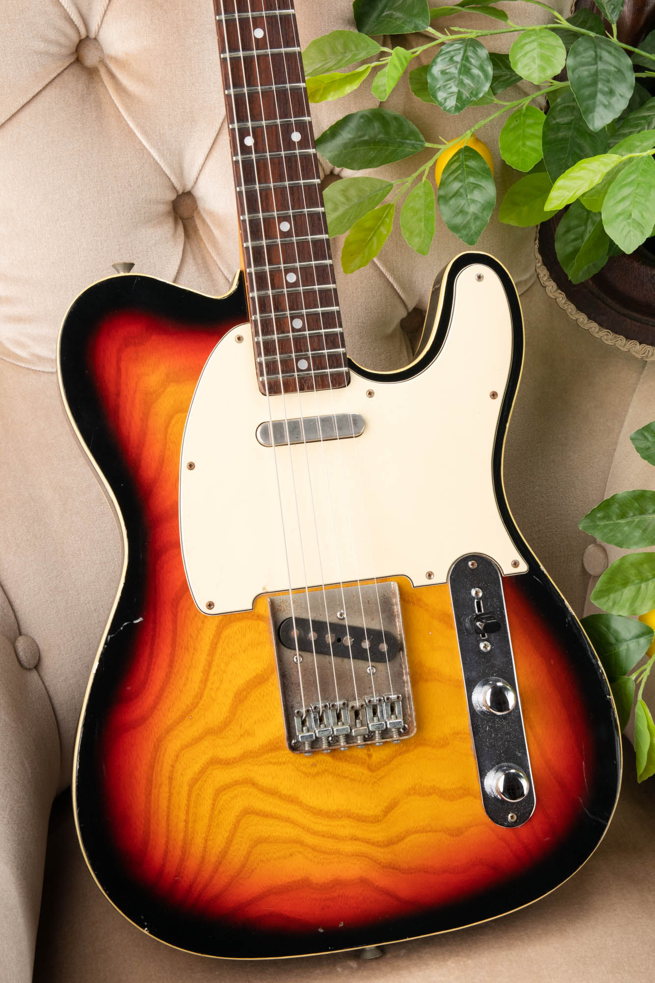 Greco TE-600 (Order Built)