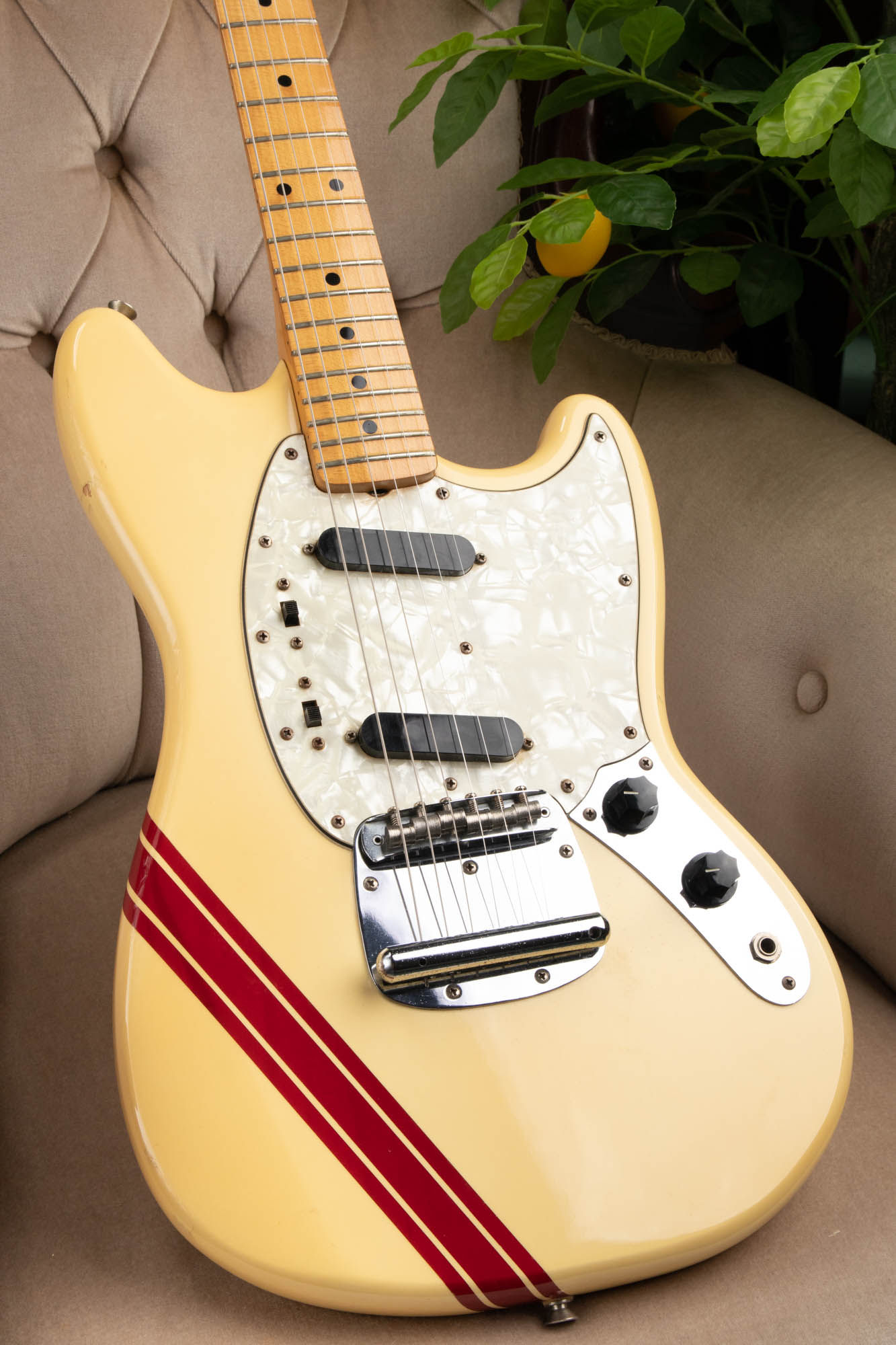 Westminster Competition Colours