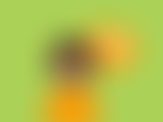 Become an Otto Foundation intern