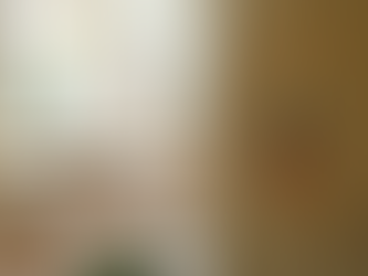 The People's Post writes about the Sunbird Library