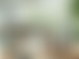 Zero waste lifestyle: The necessity of bringing it back