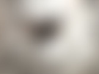 CHILOBRACHYS FIMBRIATUS(INDIAN VIOLET) care guide