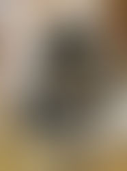 Phormictopus sp "Full Green" (Dominican Emerald Bird Eater) care guide