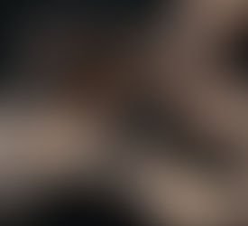 Tliltocatl kahlenbergi (Veracruz Red Rump Tarantula) care guide