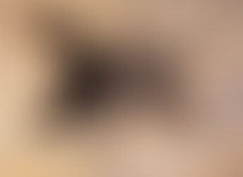 Eucratoscelus pachypus (Stout Leg Baboon) care guide