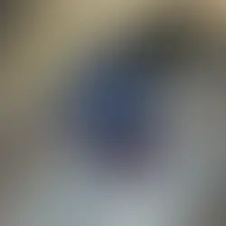 Lasiocyano sazimai (Brazilian Blue Tarantula) care guide