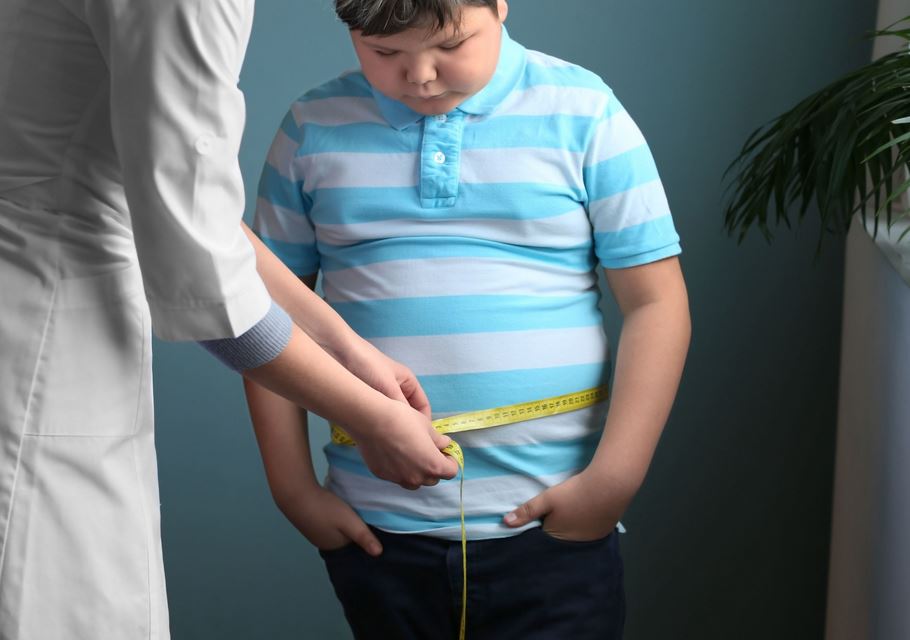 Nutricionista