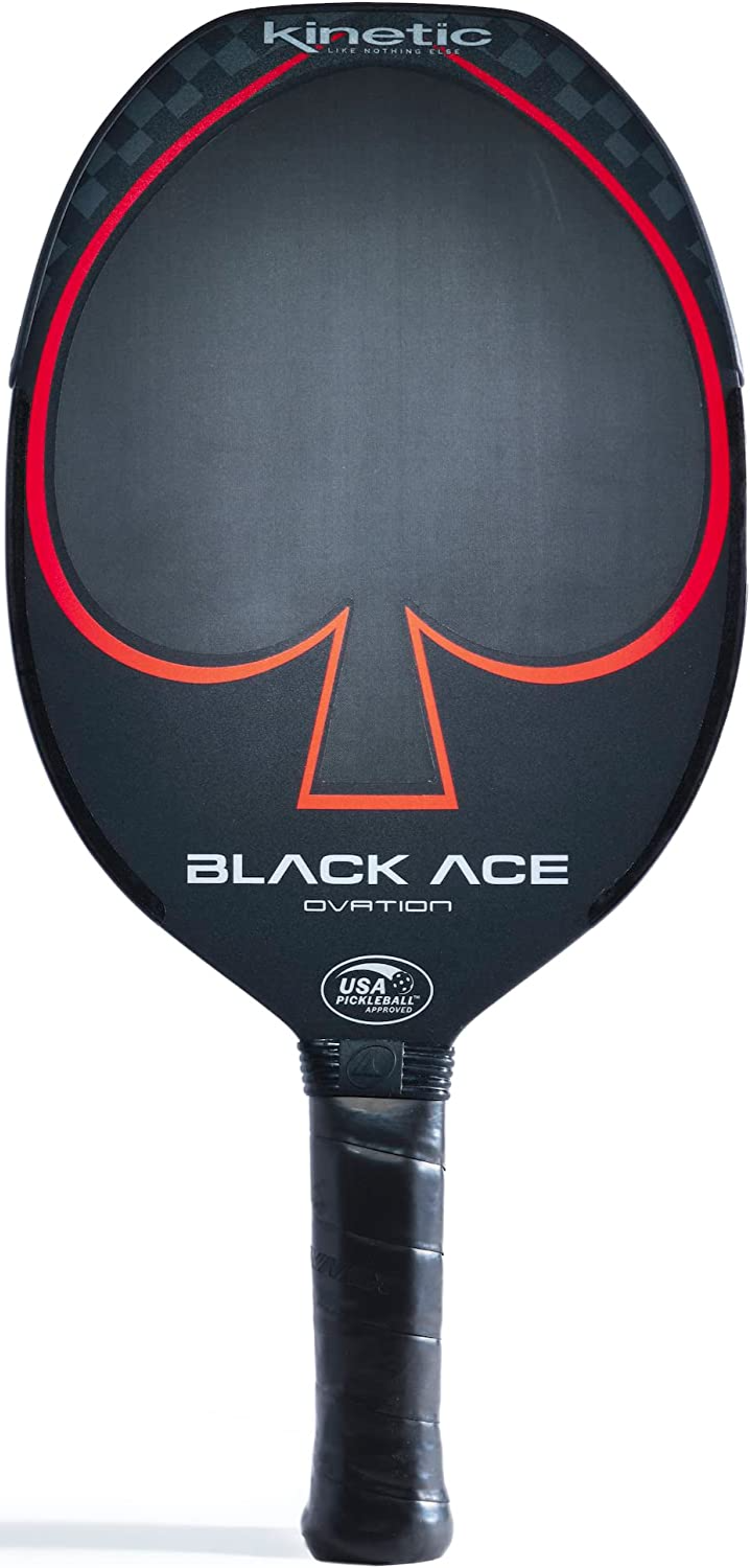The Best EXPENSIVE Pickleball Paddles (Winning Picks)
