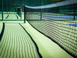 The Complete Guide to Buying Your First Long-Term Pickleball Paddle