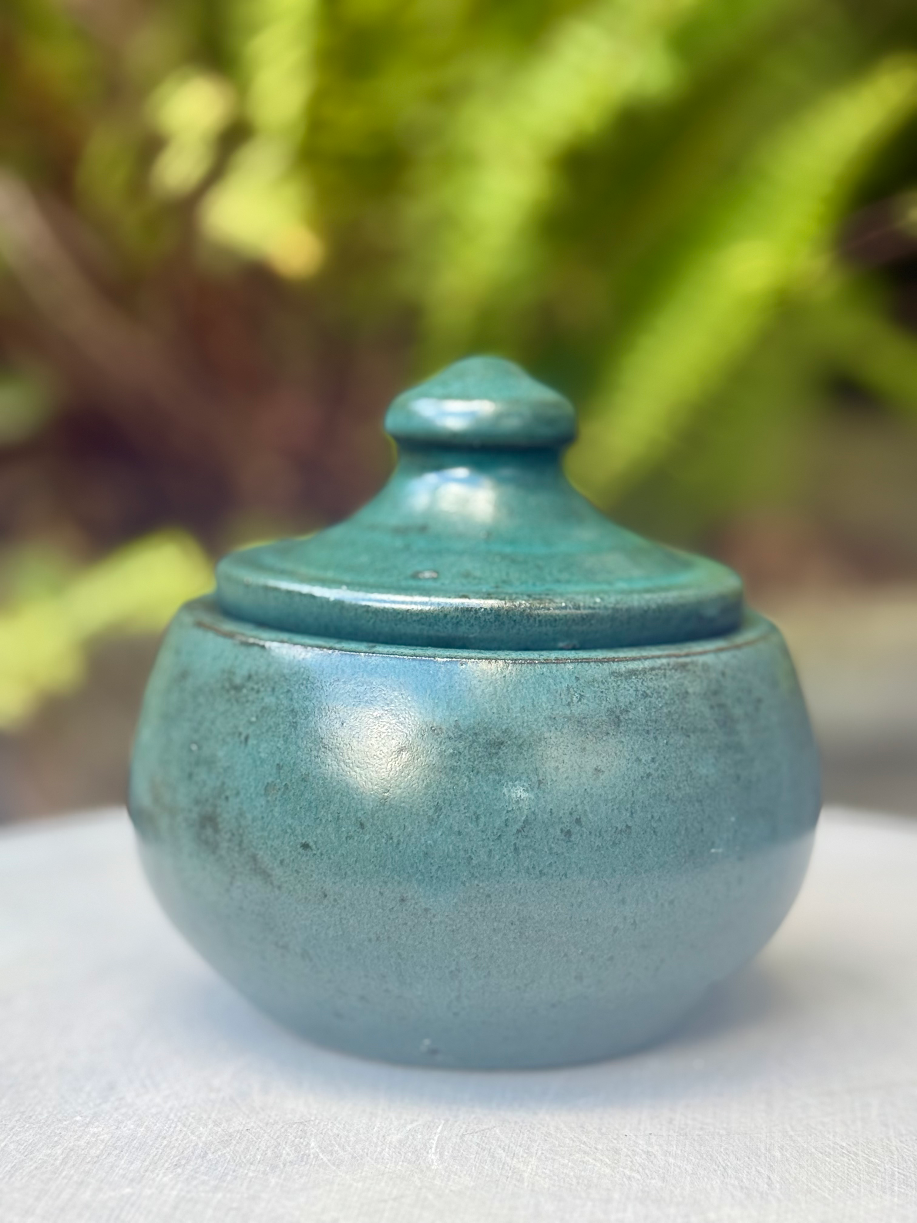 Açucareiro verde floresta