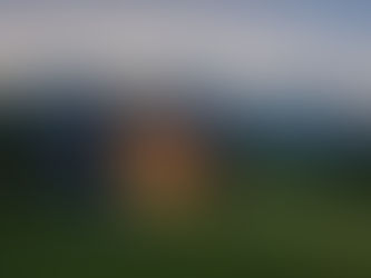 Aussensauna im Garten modern gestalten: Architektur trifft Wellness-Kultur