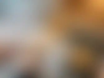 Sauna Service richtig planen