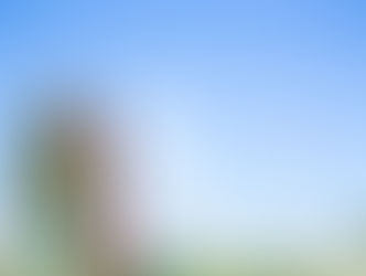 Engagement Shoot: Punjab to Dallas!