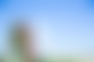 Engagement Shoot: Punjab to Dallas!