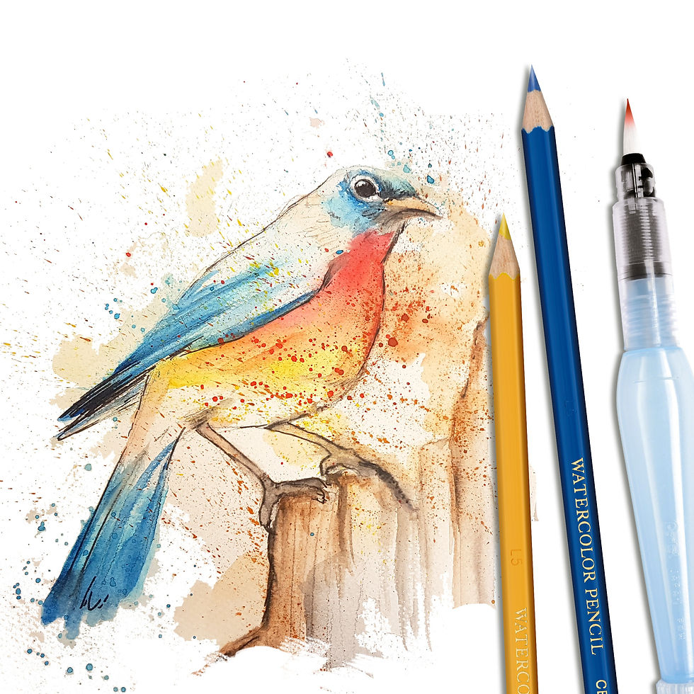 Thumbnail: Watercolour Pencils Assorted Colours (YCB9)