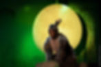 Shrek the Musical