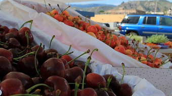 We are a family orchard proud to bring you delicious, high-quality cherries and apples grown in Wenatchee, Washington.