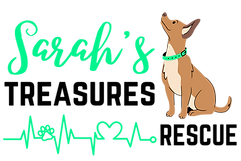 Sarah’s Logo (1).png